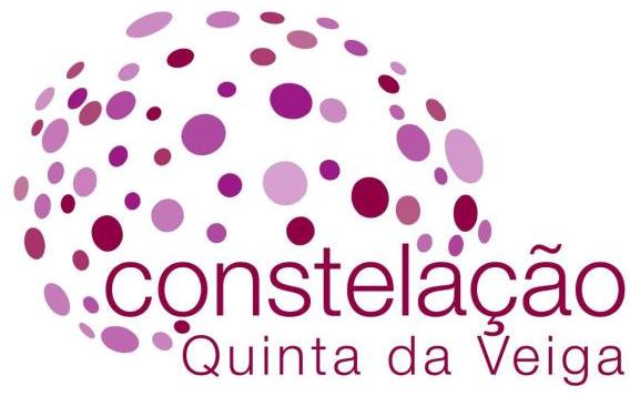 Antnio Pedro Silva - Constelao - Viticultura e Enologia, Lda